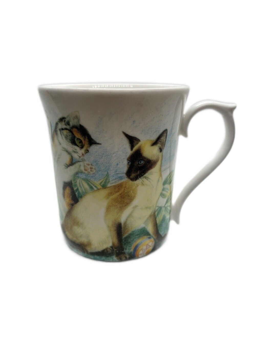 Elite Fine Bone China Kitten Cat Mug Made in England